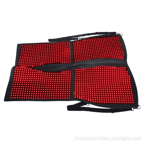 Red Light Therapy Instruments for Equine and Pet Care: 660nm 850nm for Back, Neck, and Withers